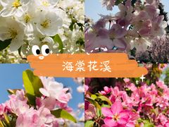 -海棠花溪(元大都城垣遗址公园)