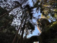-黄檀硐景区