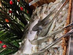 -吉布鲁牛排海鲜自助(温江合生汇店)