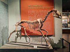 -齐齐哈尔市博物馆