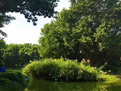 -广州长隆飞鸟乐园
