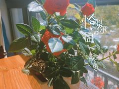 -Kitchen·Y洋厨房西餐厅(王府壹号店)