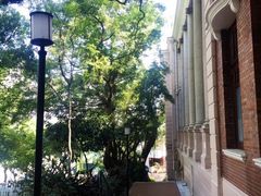 -香港大学