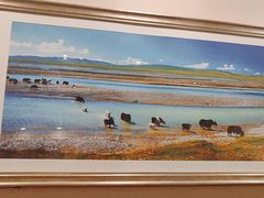 -中发源·清真餐厅(春风店)