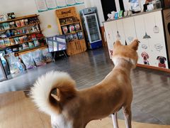 -美联众合宠物医院·爱萌分院·内外科·猫科中心