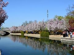 -海棠花溪(元大都城垣遗址公园)