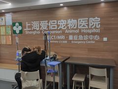 -爱侣宠医·鹦鹉专科·小型哺乳类·异宠专科(灵石路店)