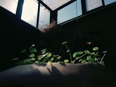 -出走咖啡·面包(宋庄店)