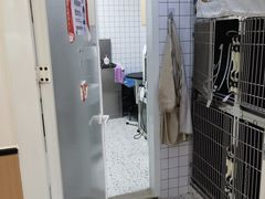 -瑞派康怡24h宠物医院·犬猫医疗中心·微创绝育(瑞景分院)