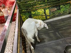 -上海大自然野生昆虫馆