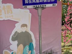 -北京凤凰岭