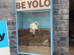 -BE YOLO必有乐&小红帽三明治