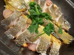 生啫深海大黄鱼-食廬(浦东嘉里城店)