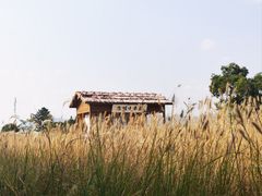 -良渚古城遗址公园