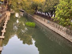 -乌镇景区