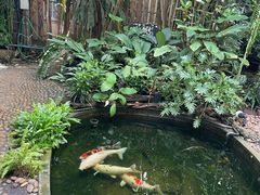 -Fern Forest Cafe