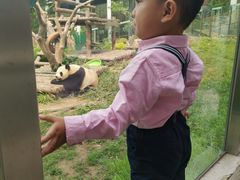 -大连森林动物园