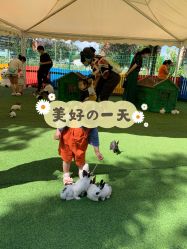 -萌宠亲子动物乐园(槐房万达店)