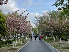 -大宁公园