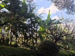 -腾冲洞山温泉村
