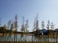 -东莞植物园