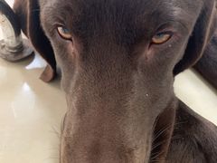 -百信宠物医院(东升街店)