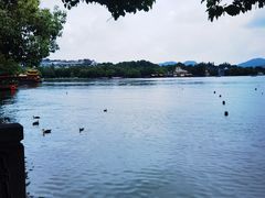 -西湖游船