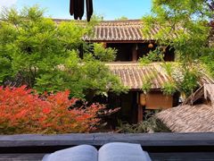 -食全酒美·野生菌腊排骨餐厅(木府店)