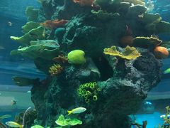 -福州罗源湾海洋世界旅游区