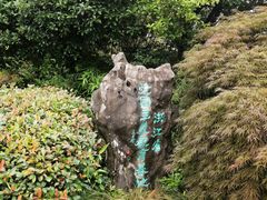 -中国茶叶博物馆(双峰馆区)