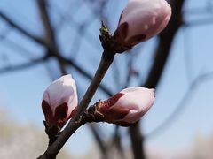 -奥林匹克森林公园南门-停车场