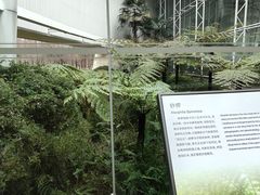-金沙遗址博物馆