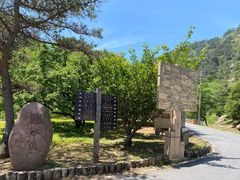 -金龙寺国家森林公园