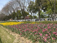 -玄武湖景区-情侣园游乐场