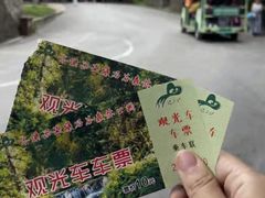 -本溪汤沟绿石谷森林公园