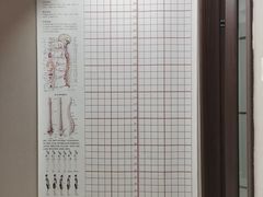 -修申骨雕小颜脊柱骨盆管理产后修复