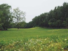 -长白岛森林公园