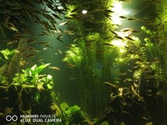 -水上乐园·欢乐世界