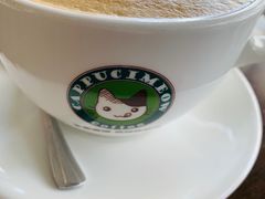 -Cappucimeow猫咪咖啡馆(韦伯时代店)