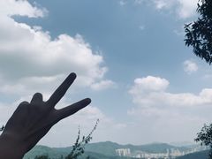 -火炉山森林公园