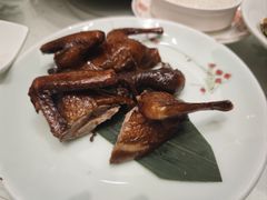 -稻香酒家·35年老字号(侨光店)