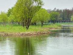 -苏州太湖湖滨国家湿地公园