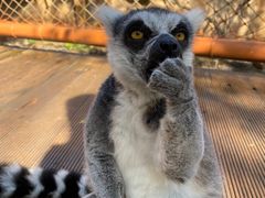 -北京野生动物园