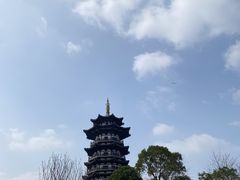 -洋湖国家湿地公园