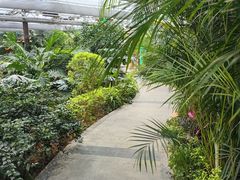 -春满园生态餐厅(南宫路店)