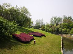 -合肥三国新城遗址公园