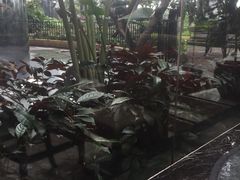 -科尔海悦酒店·柏顿花园餐厅(清河东路店)