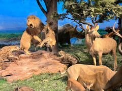 -国家自然博物馆