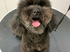 -萌兽医馆·绝育·24小时内科·宠物医院(德胜店)