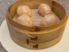 -金粤九号(李公堤店)
